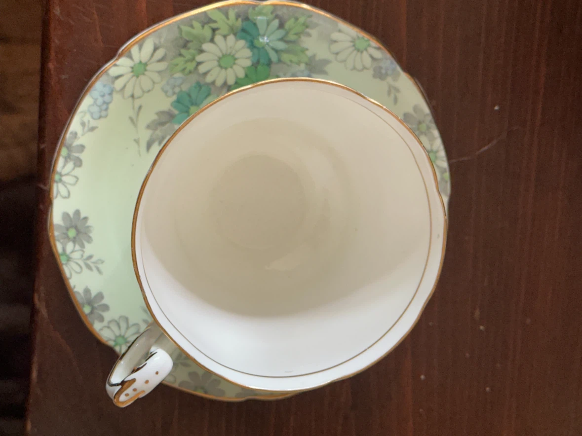1940s Paragon Cineraria Teacup & Saucer - photo 3