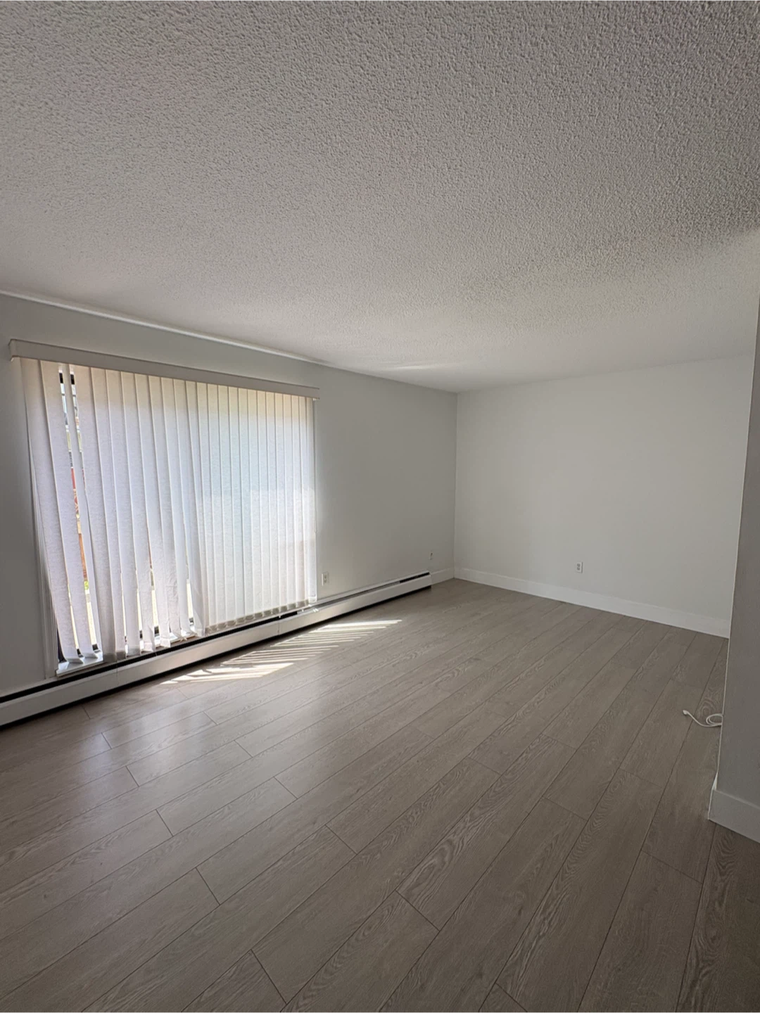 2 bedroom 1 bath Richmond apartment - photo 3