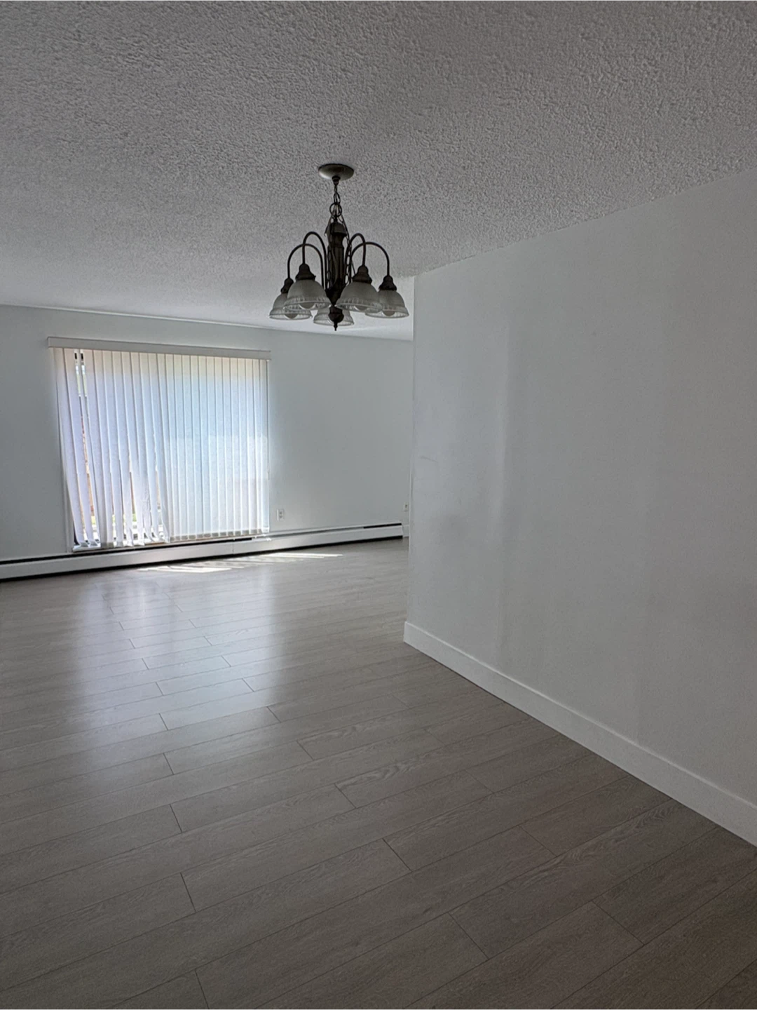 2 bedroom 1 bath Richmond apartment - photo 4