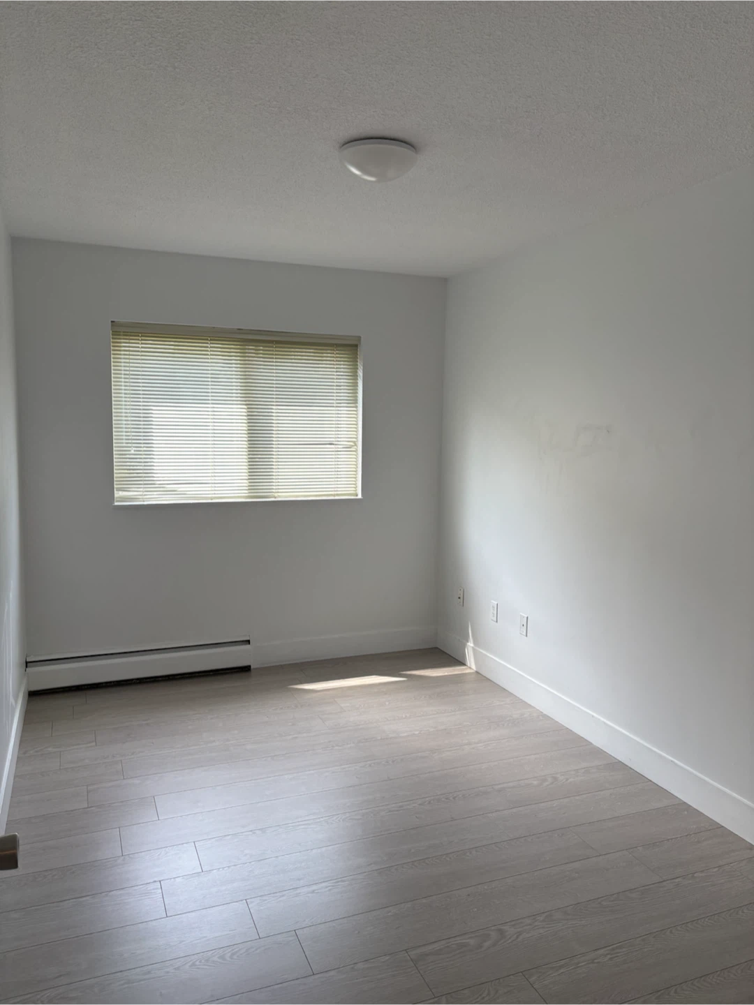 2 bedroom 1 bath Richmond apartment - photo 5