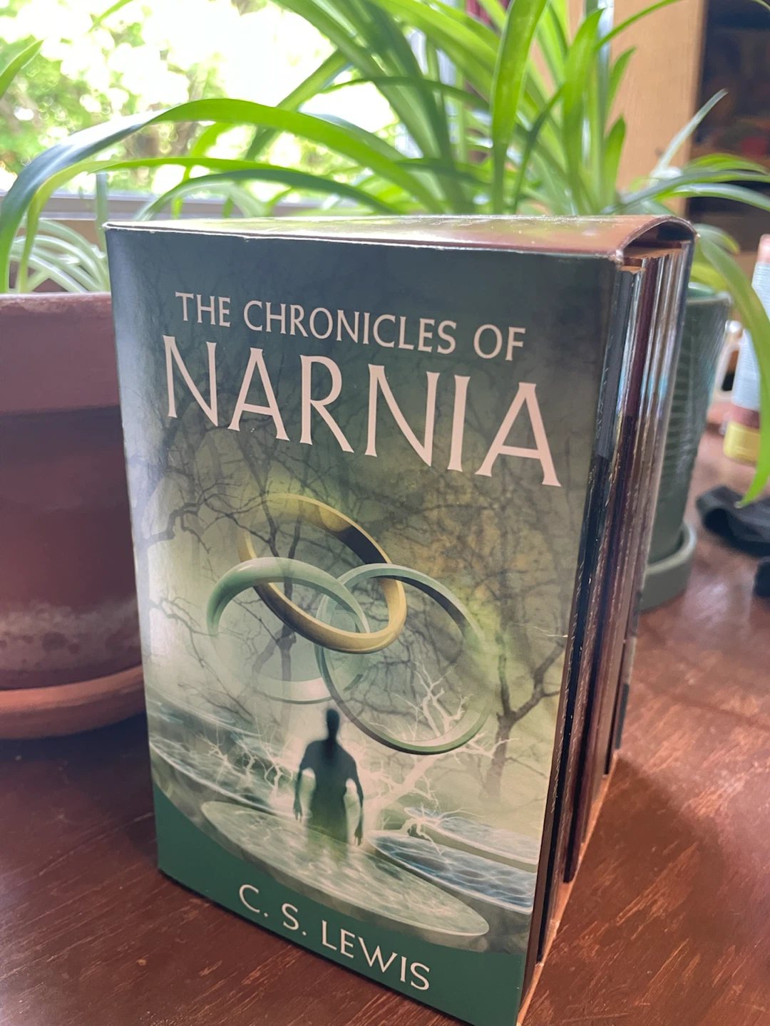 The Chronicles of Naria - photo 2
