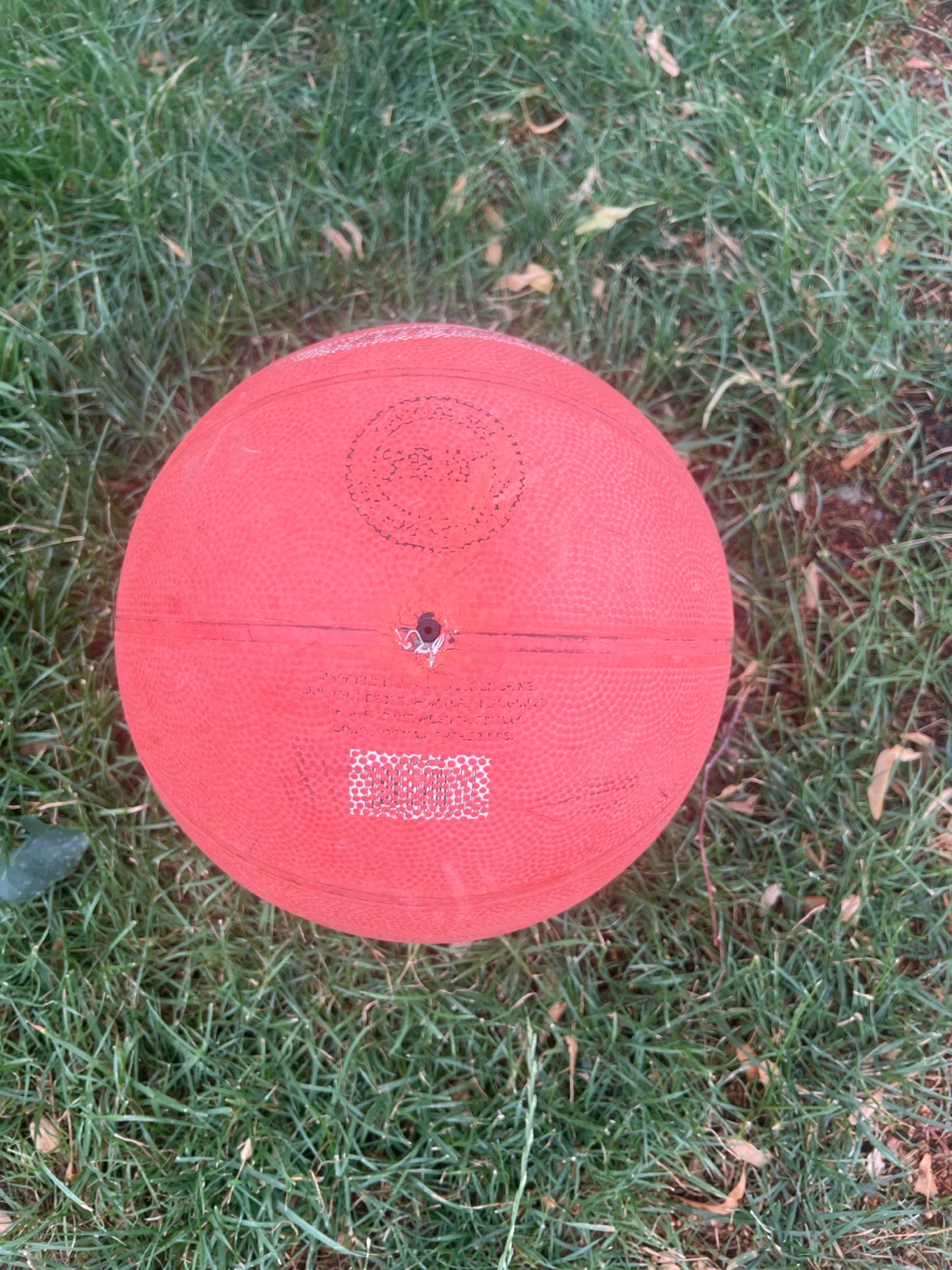 Basketball - photo 2