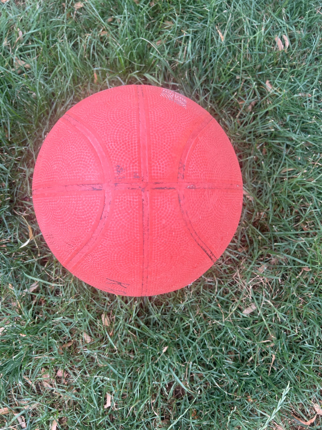 Basketball - photo 3