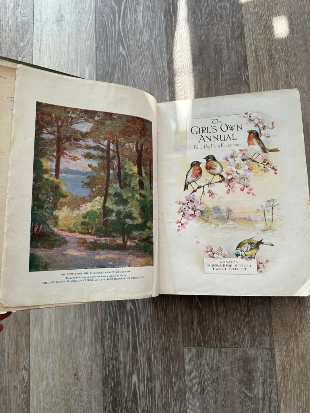 The Girl's Own Annual 1920 Book - photo 4
