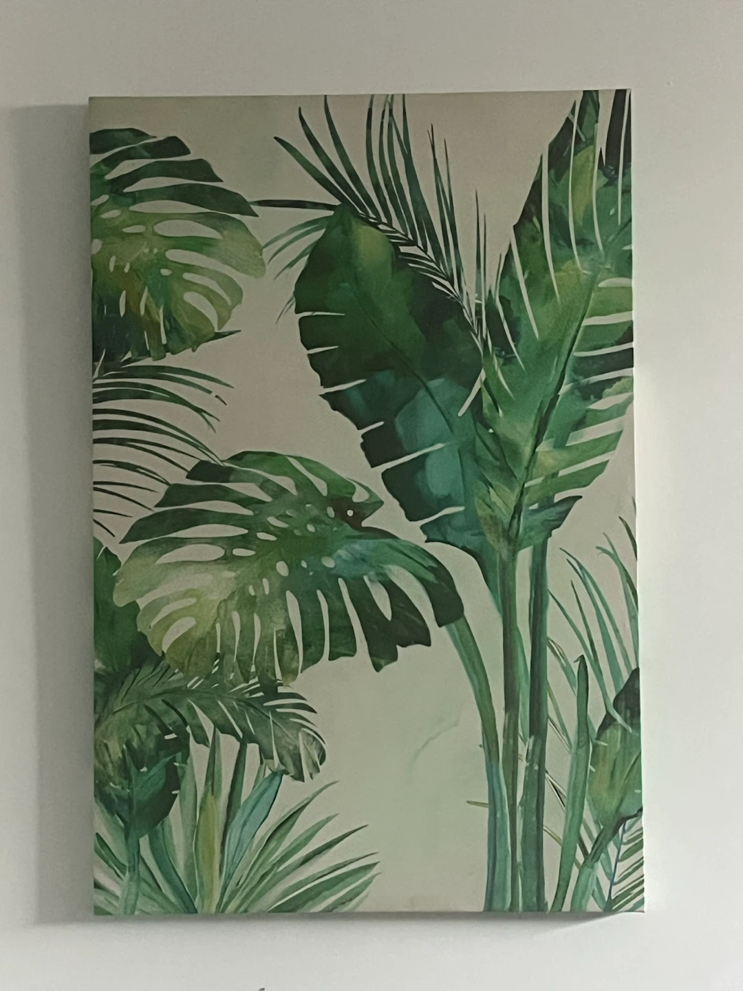 Beautiful Monstera Canvas Wall Art