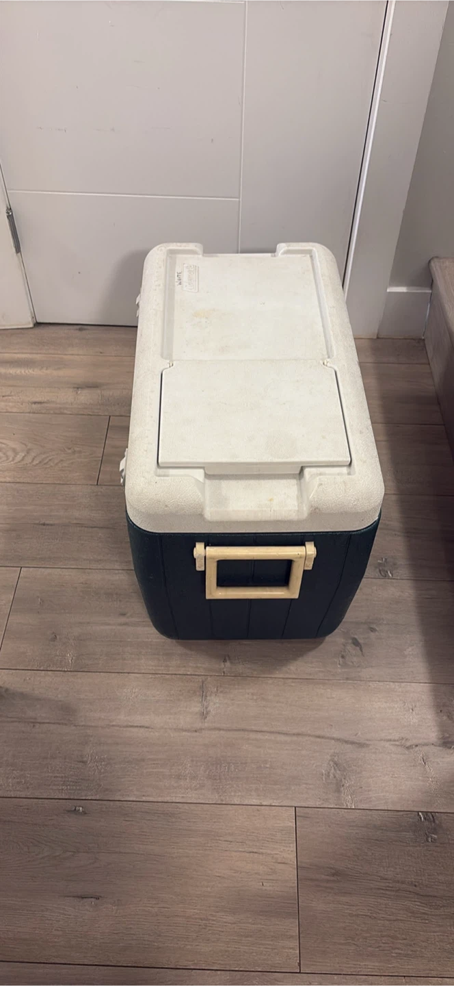 Vintage Kodak Film Photo Trader Inc. Cooler - photo 2
