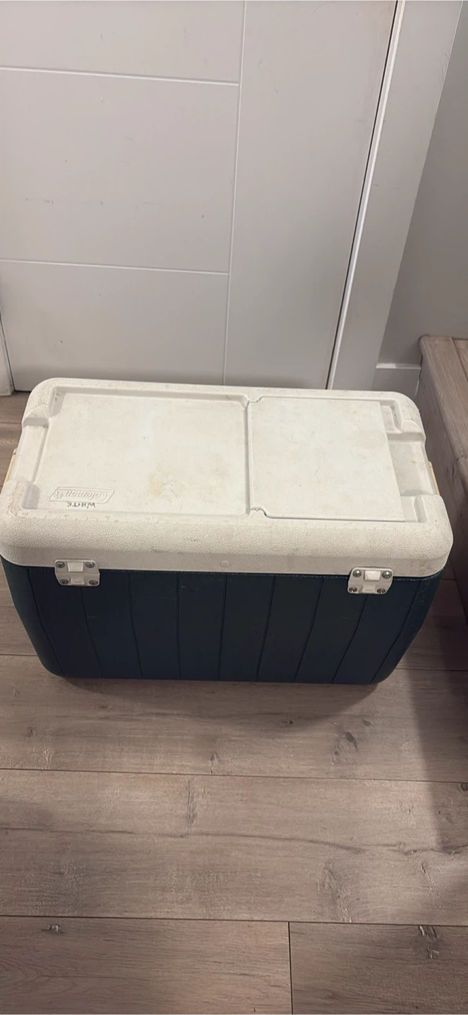 Vintage Kodak Film Photo Trader Inc. Cooler - photo 3