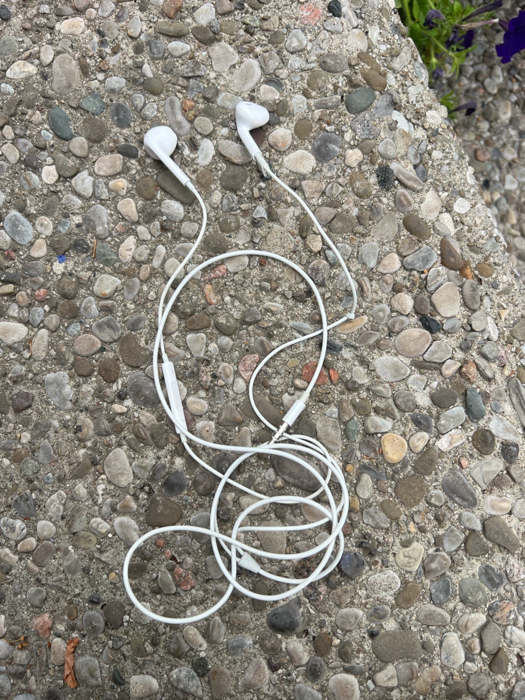 White Earbuds