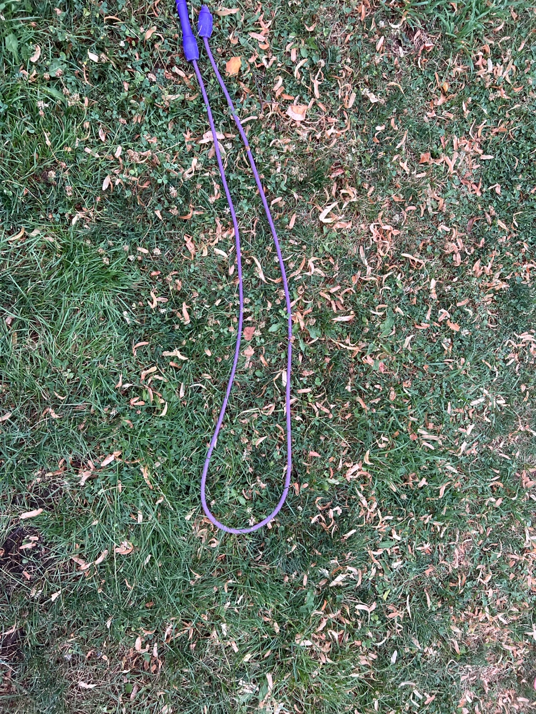 Purple Jump Rope