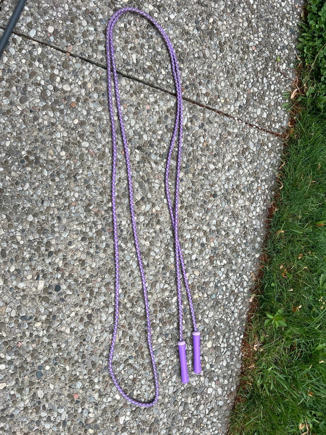 Purple Jump Rope