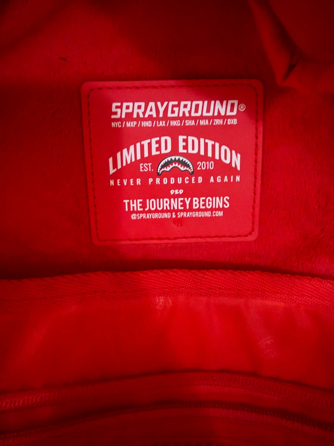Rare Limited Edition Sprayground Backpack – 2025 Collection - photo 3
