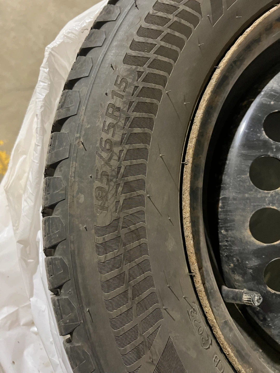 P195/65R15 Motomaster Winter Edge II Tire
