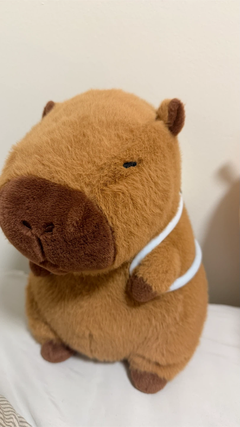 Plush Capybara Stuffed Animal - photo 3