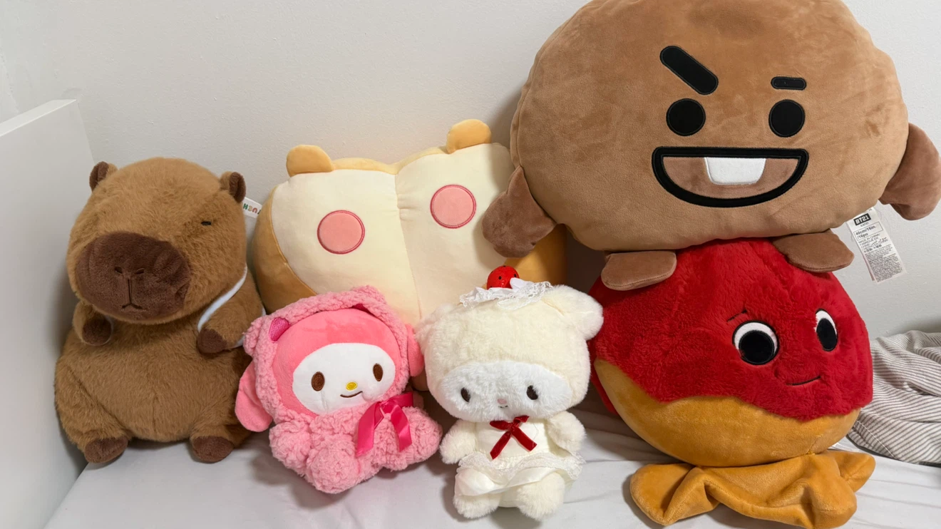 Assorted Sanrio and BT21 Plush Toys