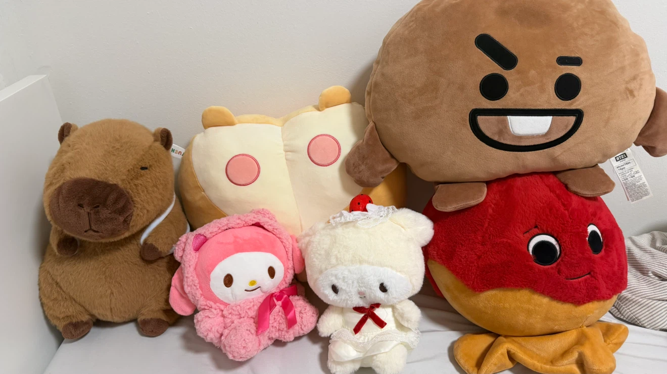 Assorted Sanrio and BT21 Plush Toys - photo 2