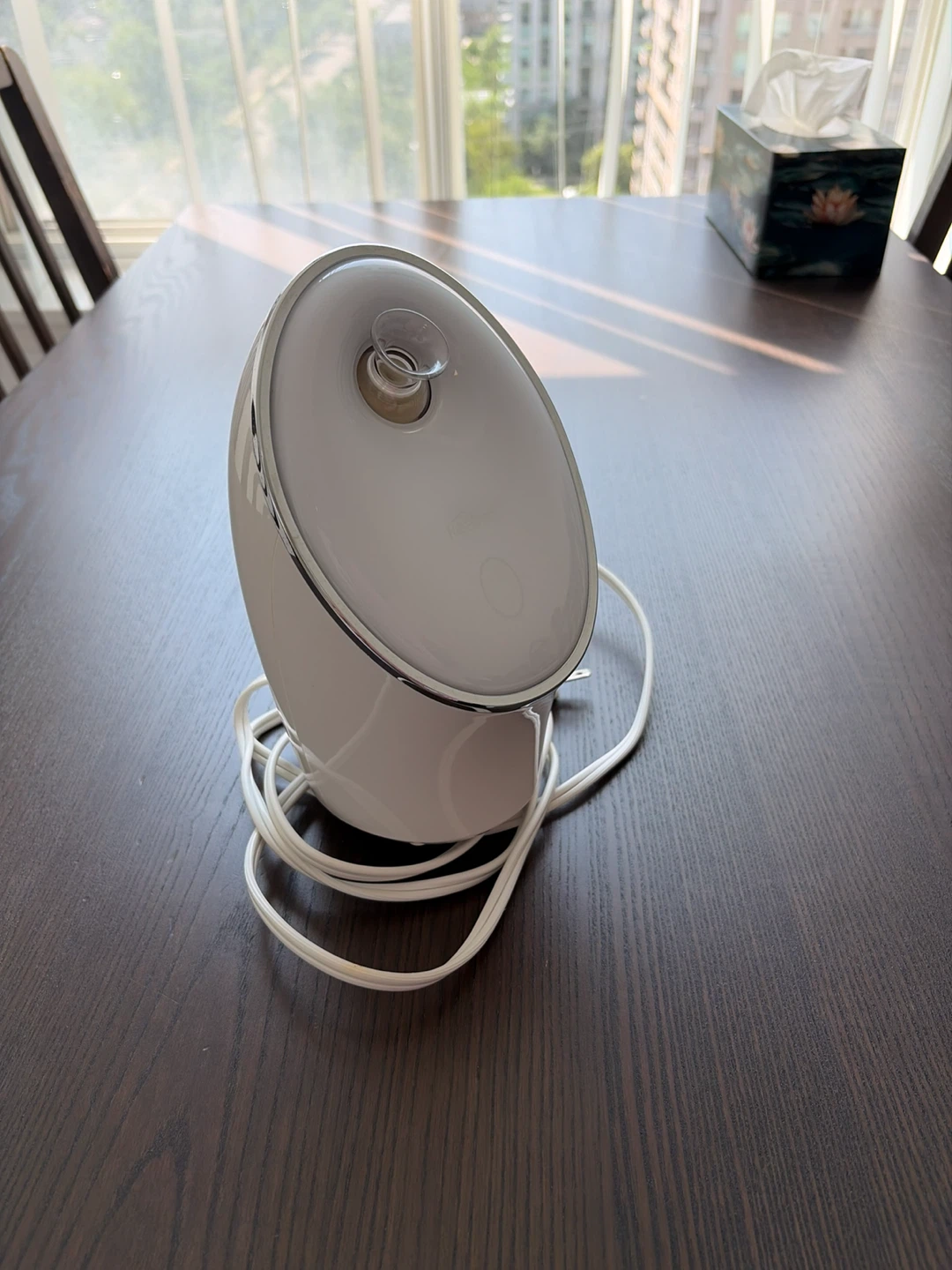 Realive Facial Steamer