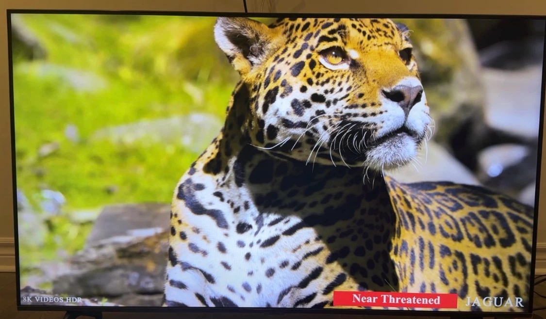 Samsung 50" Crystal UHD TU690T Smart TV