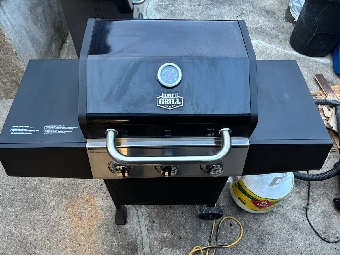 Expert Grill Propane Gas Grill