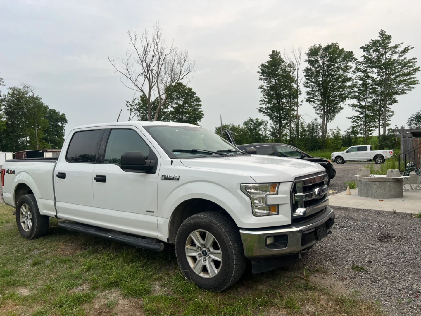 White Ford F-150 Truck - photo 5