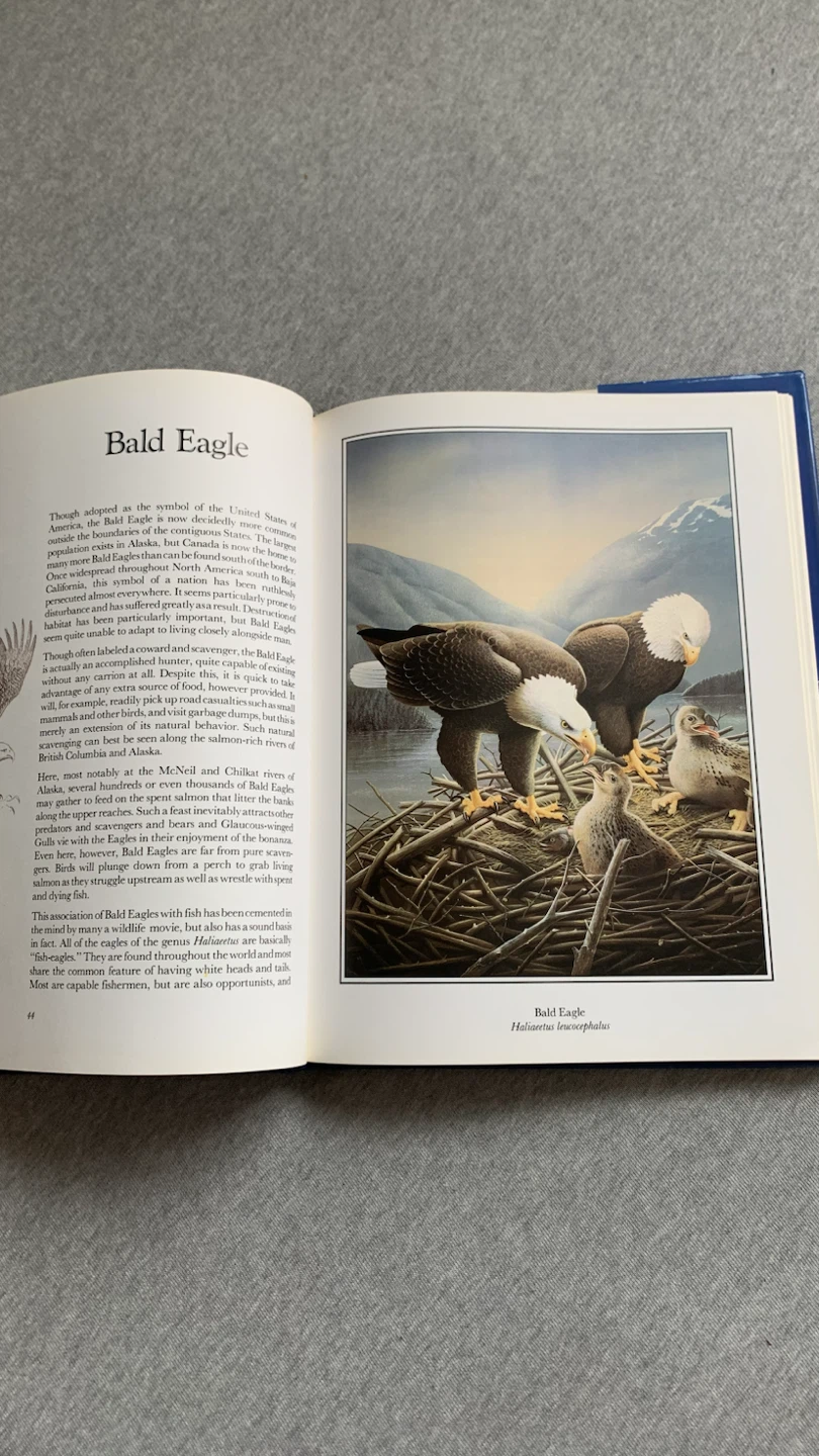 Birds of Canada Book ~ Hardcover - photo 3