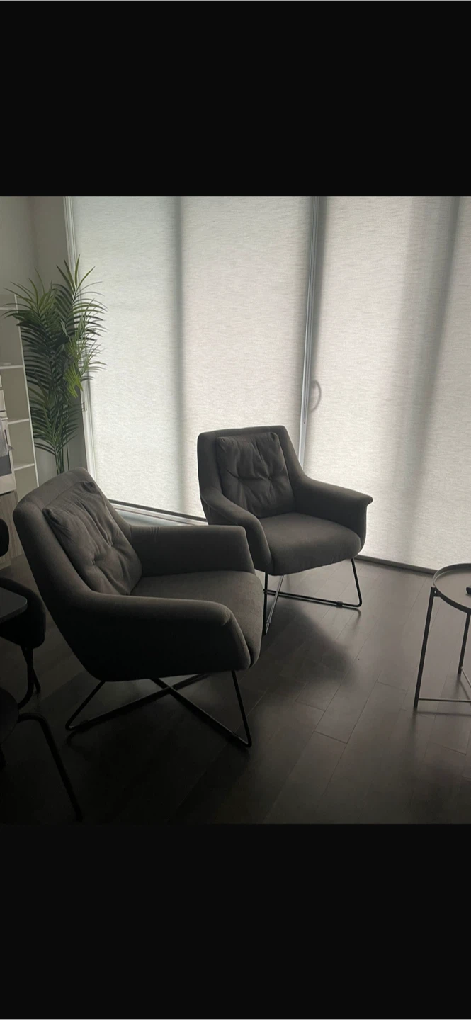 Hudson’s Bay Monroe Accent Chairs (Pair)