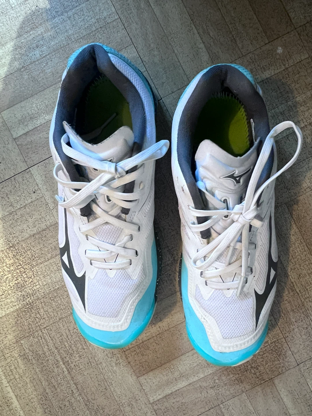 Mizuno Volleyball Shoes