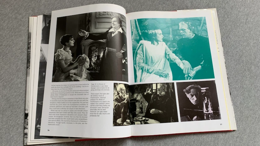 Frankenstein ~ Hardcover book from 1992 - photo 4