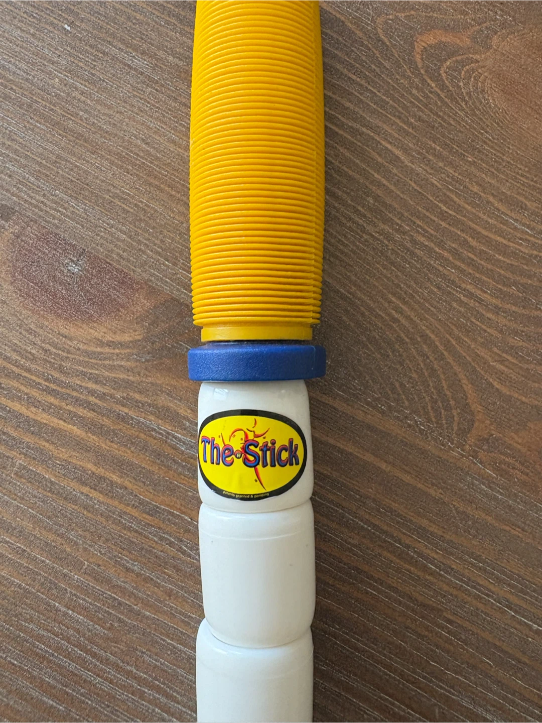 The Stick Body Stick