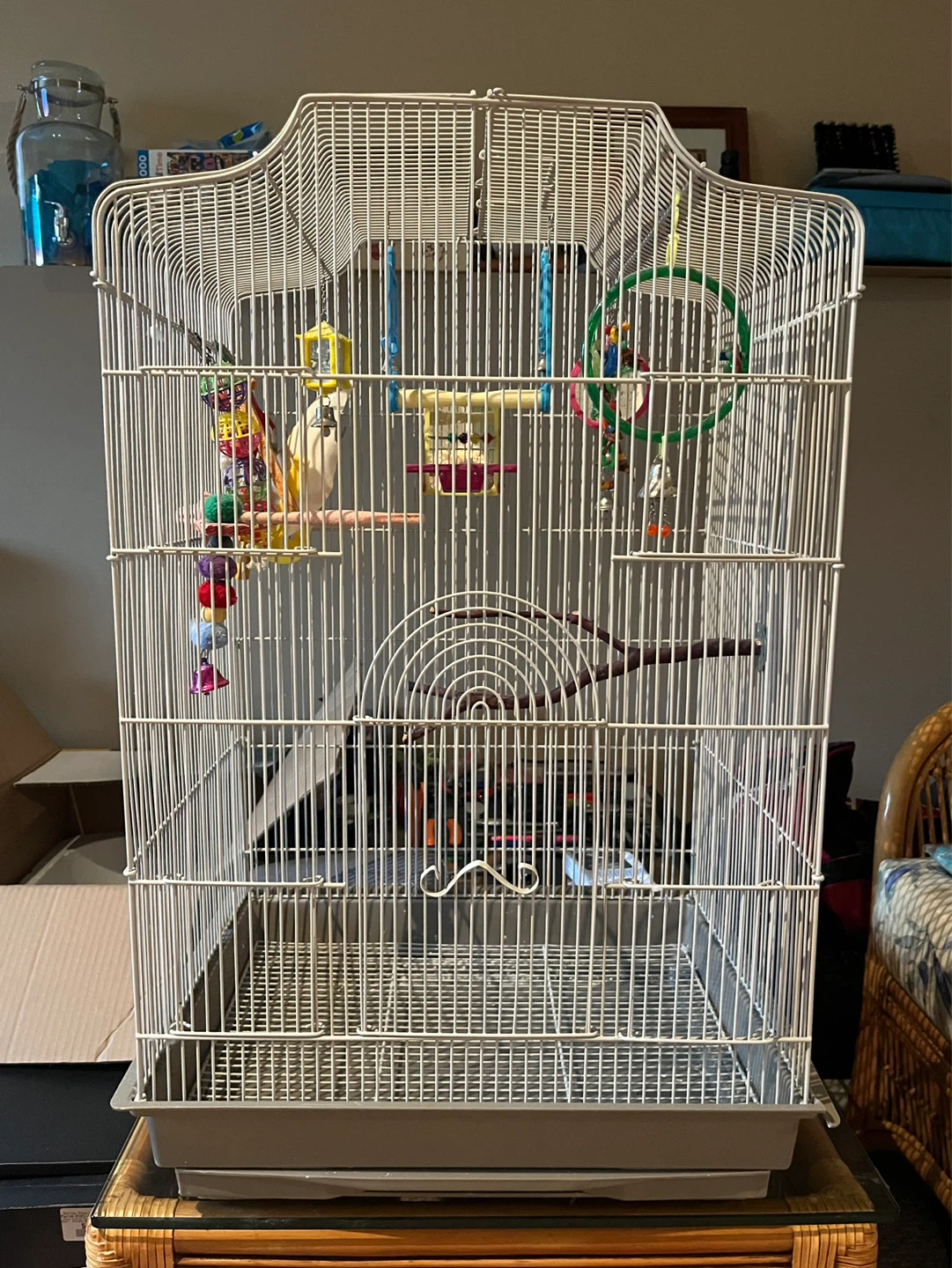 Bird Cage with Toys