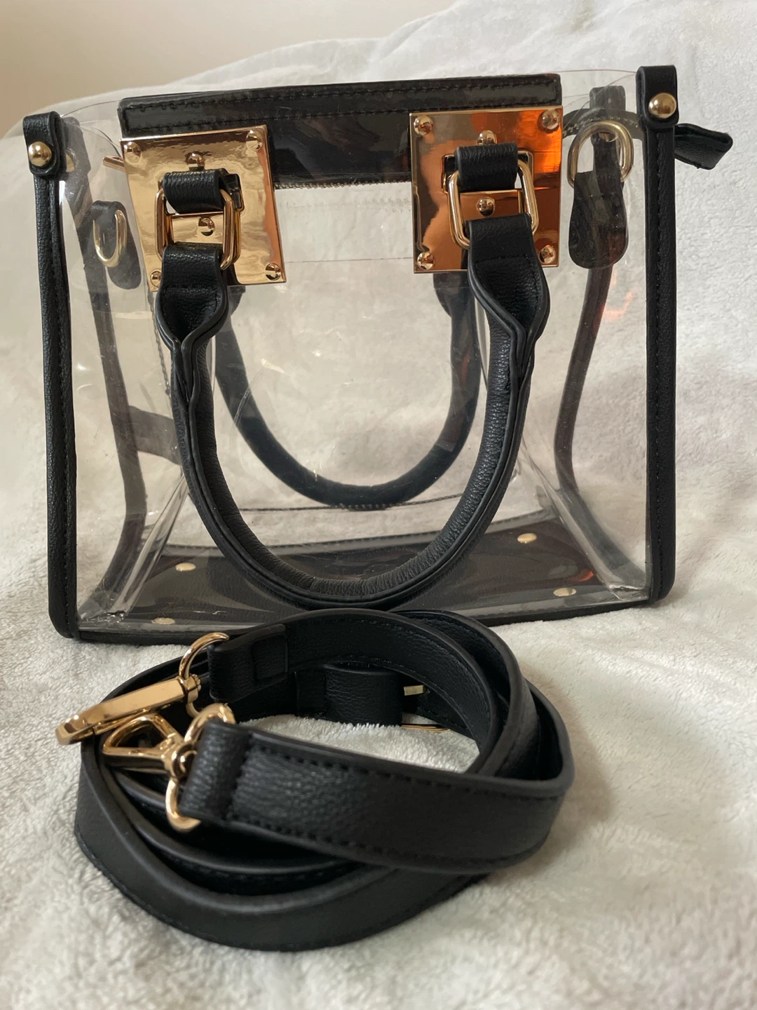 Clear Structured Handbag with Black Trim and Gold Hardware