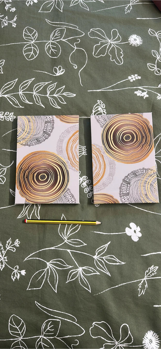 Set of 2 Abstract Circle Canvas Art Prints