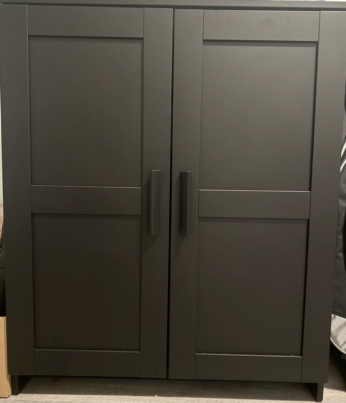 Two Door Storage Cabinet – Excellent Condition