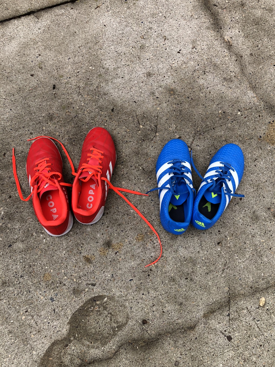 Adidas Soccer Cleats/indoor shoes - Blue & Red