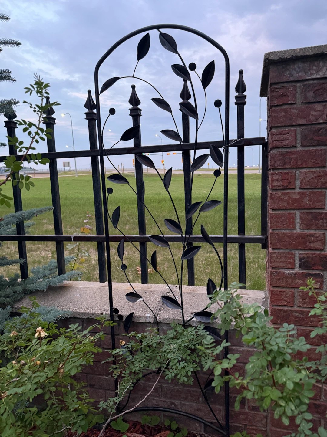 Black Metal Garden Trellis