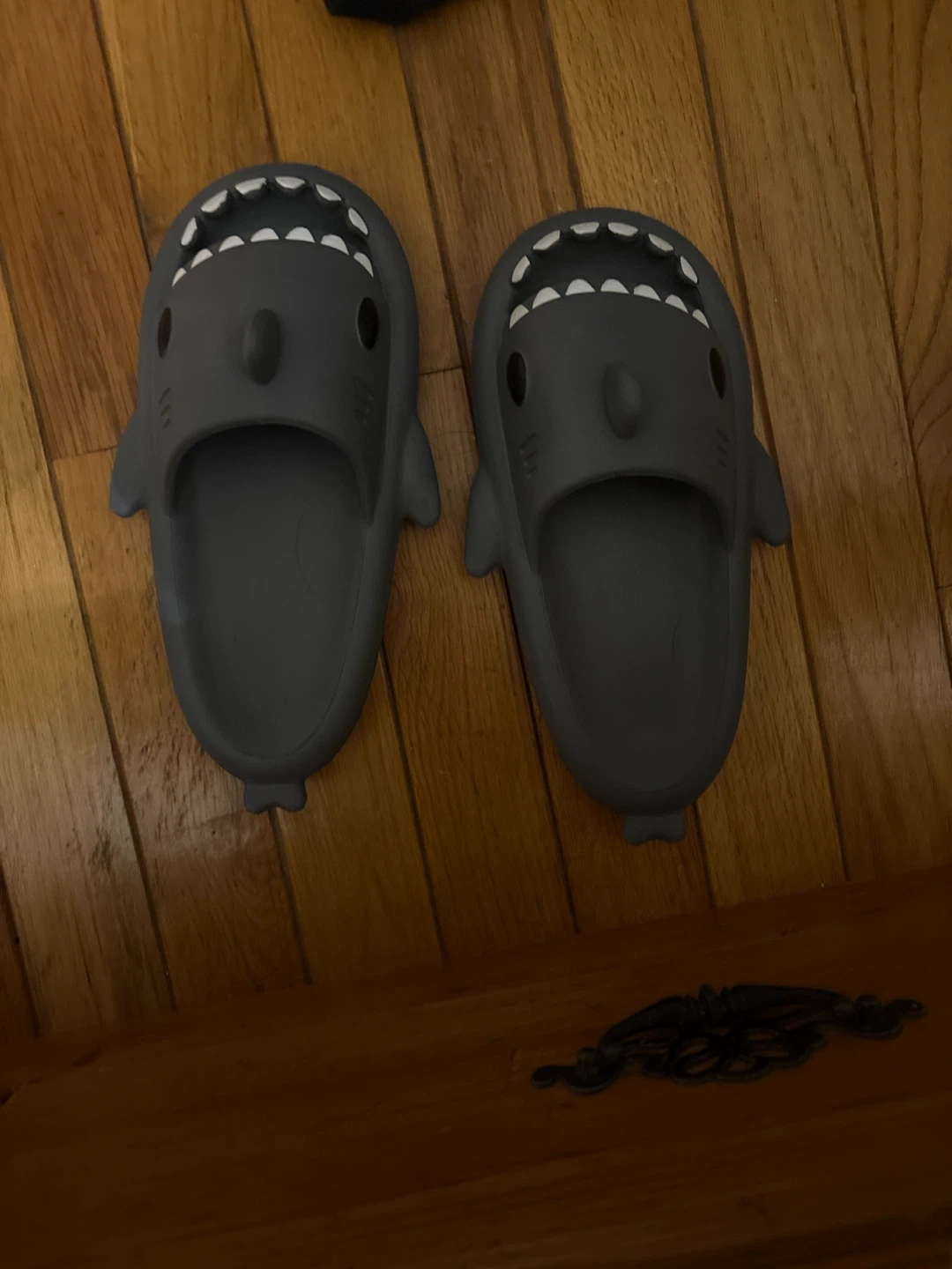 Shark Slides - Size 44-45