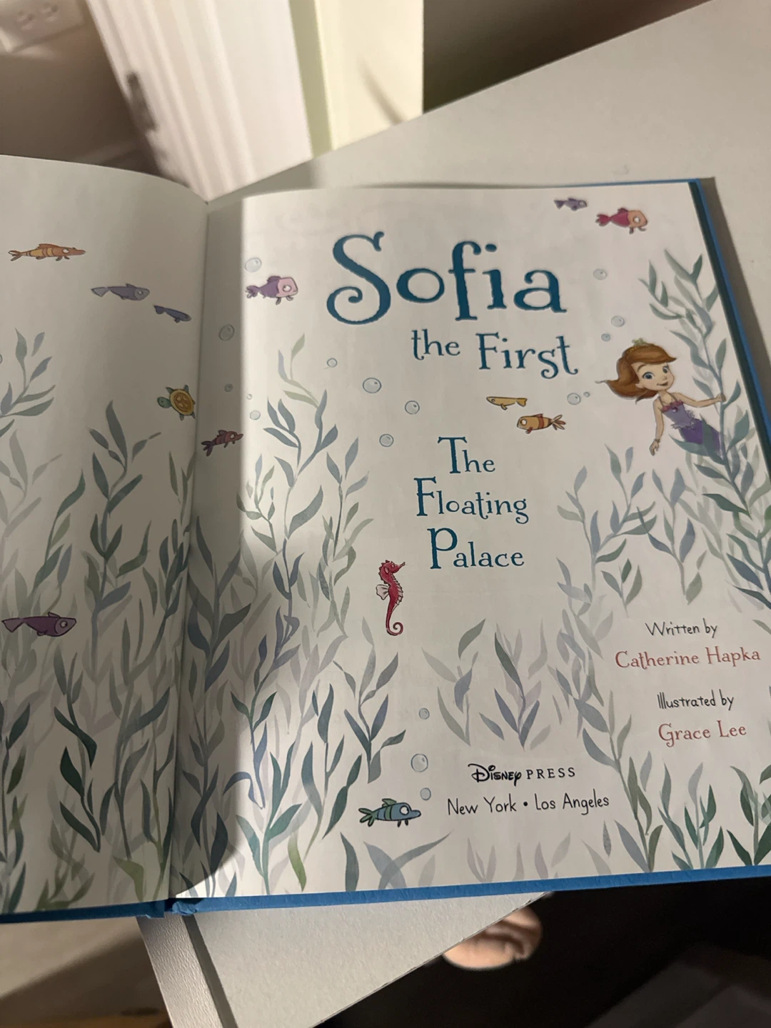 Sofia the First The Floating Palace Children's Book - photo 2