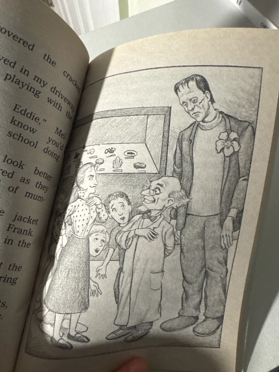 Several books - photo 3