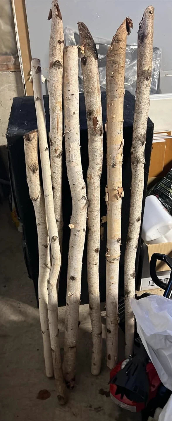 Birch Sticks for Decor or Crafts