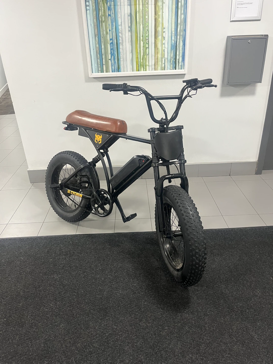 Fat tire Electric bike