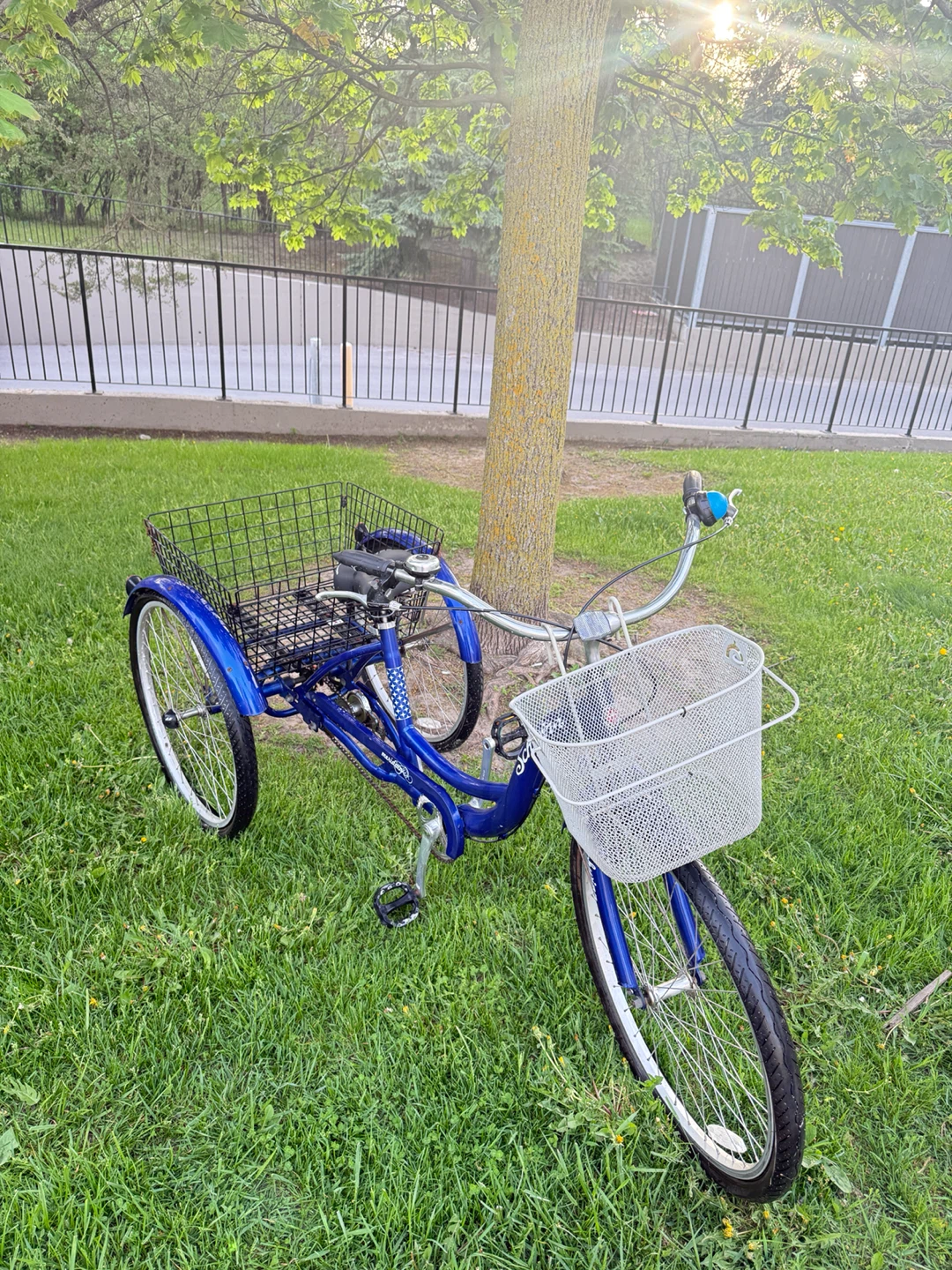 Blue Schwinn Tricycle with Baskets