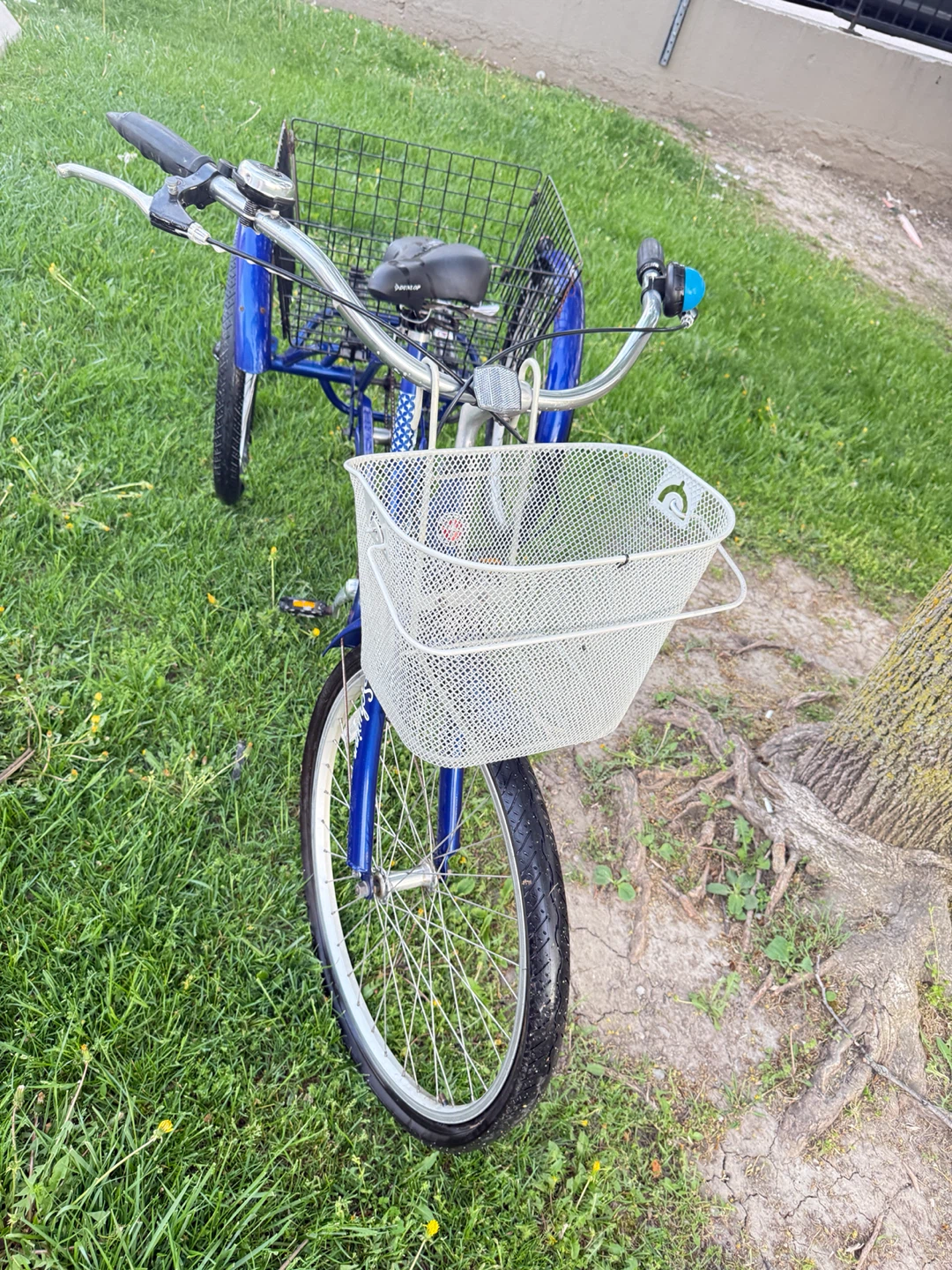 Blue Schwinn Tricycle with Baskets - photo 3