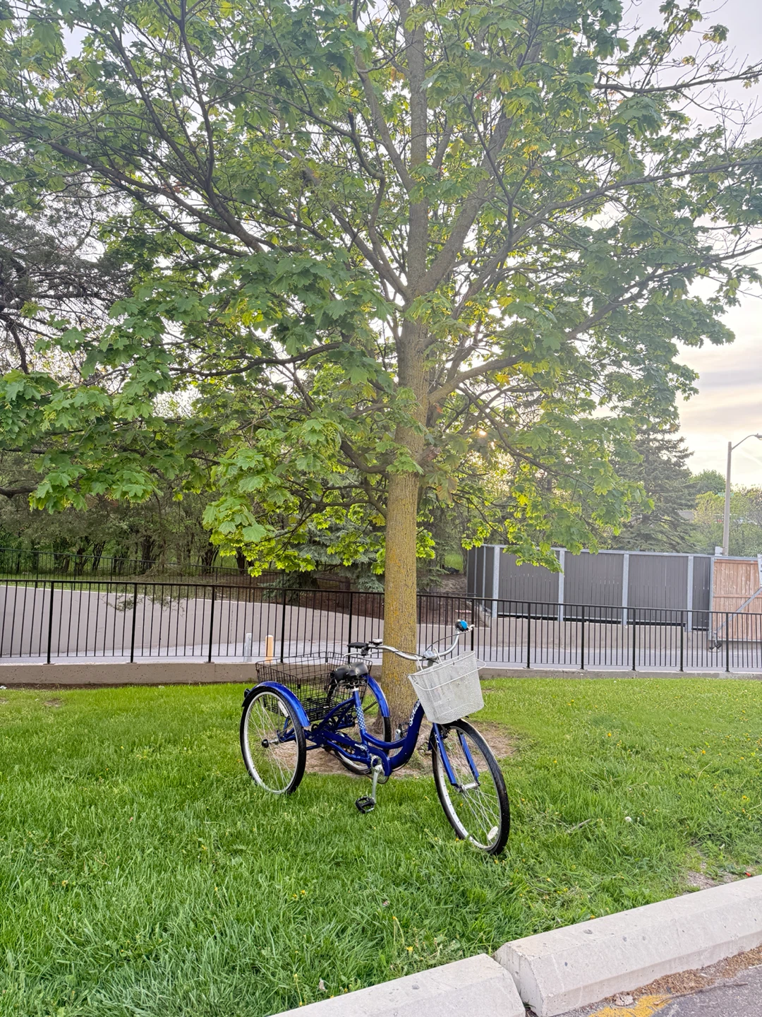 Blue Schwinn Tricycle with Baskets - photo 4