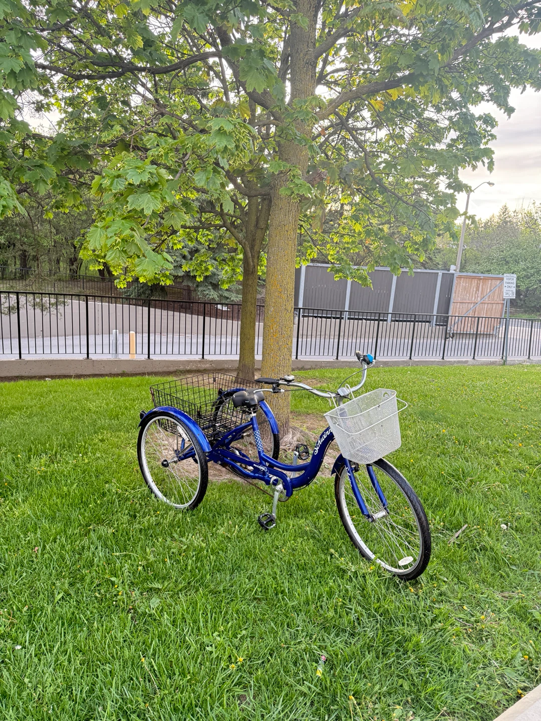 Blue Schwinn Tricycle with Baskets - photo 5