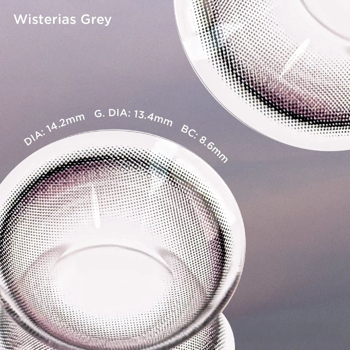 Moody - Wisterias Grey Daily Contact Lens