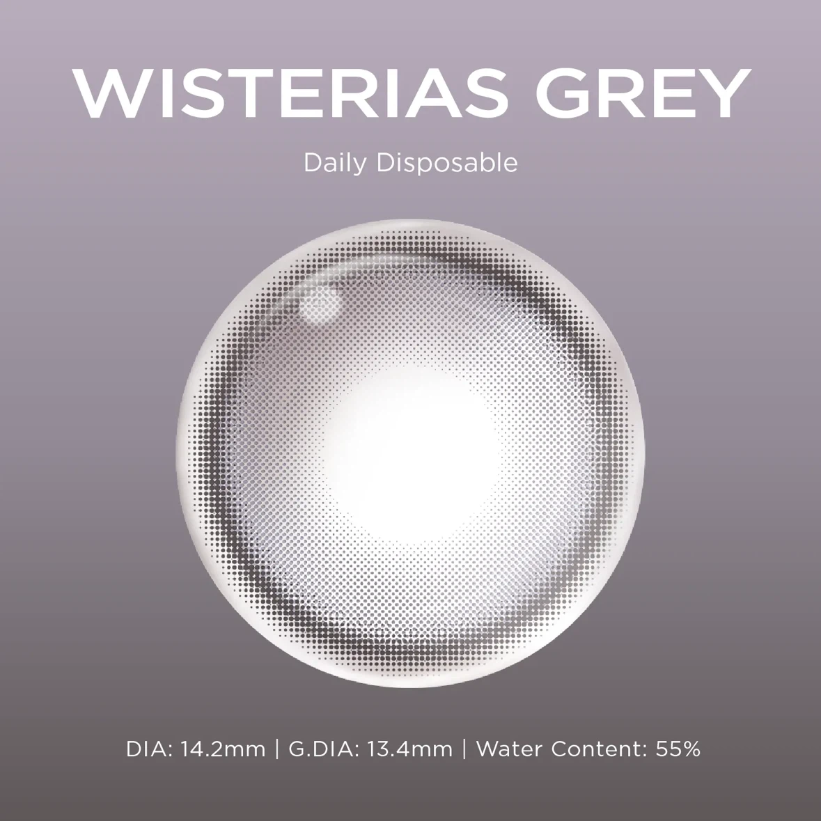 Moody - Wisterias Grey Daily Contact Lens - photo 2