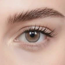 Moody - Tea Brown Daily Contact Lenses - photo 3