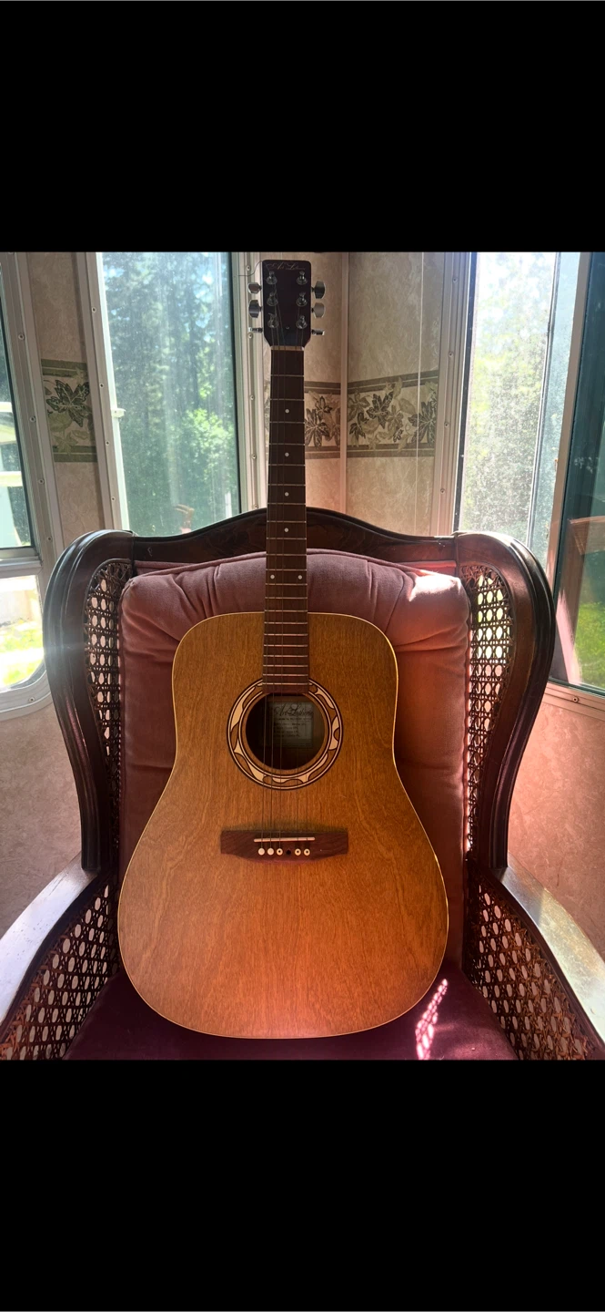 Guitar