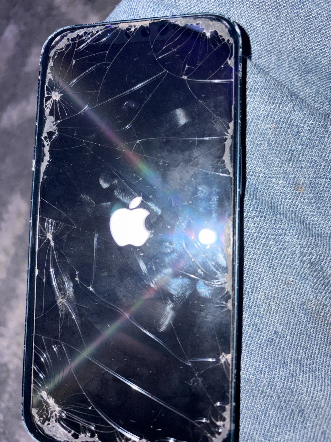 iPhone 12 Pro Max - Cracked back cracked protector