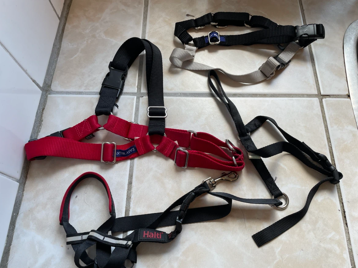 M/L Dog No Pull Harnesses & HeadCollars