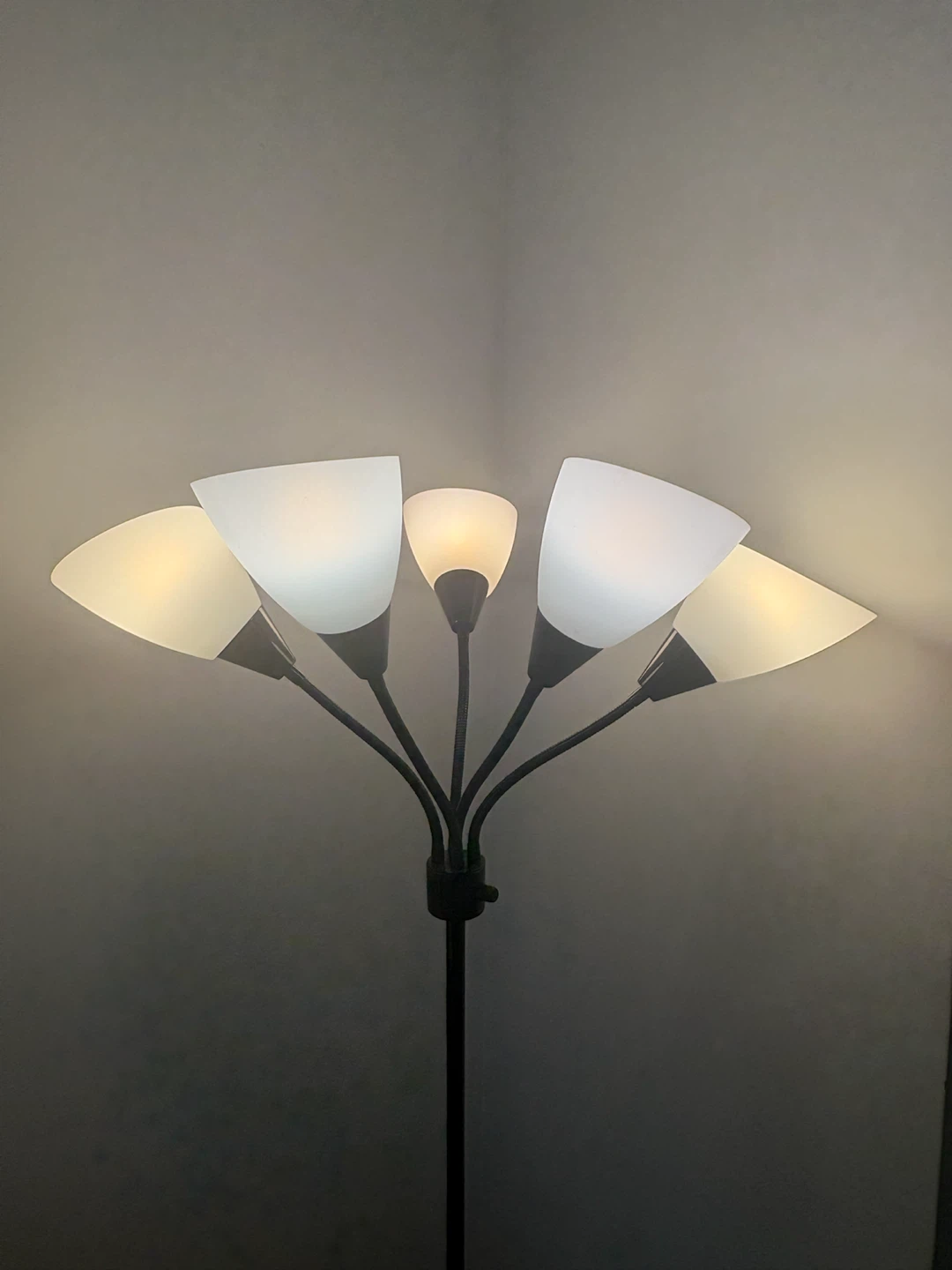 Black Floor Lamp with 5 Lights - photo 2